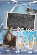 Watch Shorts for Cats Movie2k