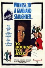 Watch Twelve Hours to Kill Movie2k