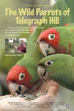 Watch The Wild Parrots of Telegraph Hill Movie2k