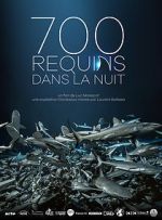 Watch 700 requins dans la nuit Movie2k