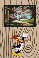 Watch The Redwood Sap (Short 1951) Movie2k
