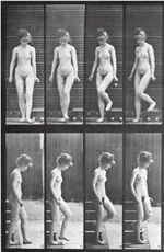 Watch Woman Walking Downstairs Movie2k