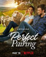 Watch A Perfect Pairing Movie2k