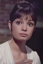 Watch Gidget Grows Up Movie2k