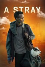 Watch A Stray Movie2k
