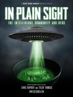 Watch In Plain Sight: The Intelligence Community and UFOs Movie2k