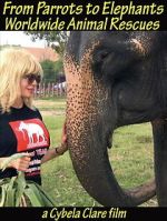 Watch From Parrots to Elephants: Worldwide Animal Rescues Movie2k
