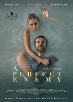 Watch A Perfect Enemy Movie2k