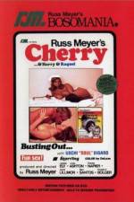Watch Cherry Harry & Raquel Movie2k