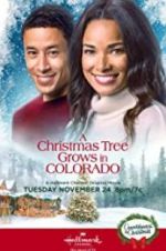 Watch A Christmas Tree Grows in Colorado Movie2k