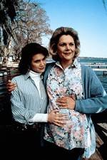 Watch Labor of Love The Arlette Schweitzer Story Movie2k