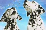 Watch 101 Dalmatians Sing Along Movie2k