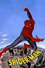 Watch Spider-Man Movie2k