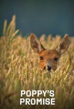 Watch Poppy\'s Promise: Secret Life in a Cornfield Movie2k