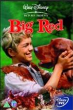 Watch Big Red Movie2k