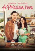 Watch A Priceless Love Movie2k