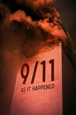 Watch 9/11: As it Happened Movie2k