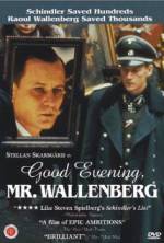 Watch Good Evening, Mr. Wallenberg Movie2k