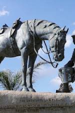 Watch War Horse: The Real Story Movie2k