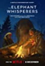 Watch The Elephant Whisperers Movie2k