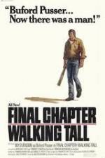 Watch Final Chapter Walking Tall Movie2k