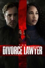 Watch The Divorce Lawyer Movie2k