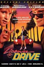 Watch License to Drive Movie2k