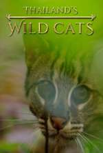 Watch Thailand's Wild Cats Movie2k