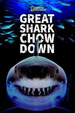 Watch Great Shark Chow Down Movie2k