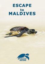 Watch Escape to Maldives Movie2k