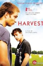 Watch Harvest Movie2k