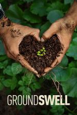 Watch Groundswell Movie2k