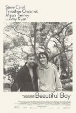 Watch Beautiful Boy Movie2k