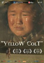 Watch Yellow Colt Movie2k