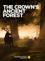 Watch The Crown\'s Ancient Forest Movie2k