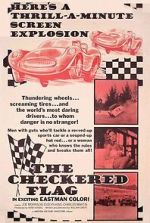 Watch The Checkered Flag Movie2k