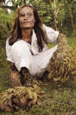 Watch Treeman Search for the Cure Movie2k