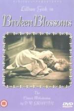 Watch Broken Blossoms or The Yellow Man and the Girl Movie2k