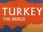 Watch Turkey the Bridge (Short 1966) Movie2k