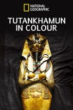 Watch King Tut in Color Movie2k