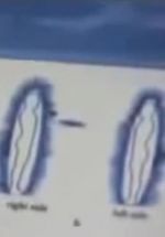 Watch Quantum Communication Movie2k