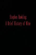Watch Stephen Hawking A Brief History of Mine Movie2k