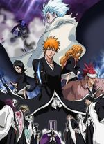 Watch Bleach the Movie 2: The Diamond Dust Rebellion Movie2k