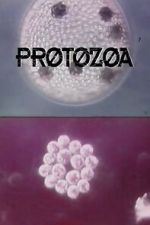 Watch Protozoa Movie2k