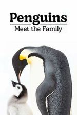 Watch Penguins: Meet the Family Movie2k