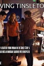 Watch Driving Tinseltown Movie2k