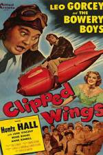 Watch Clipped Wings Movie2k