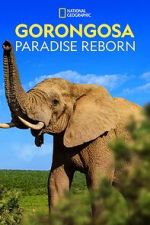 Watch Gorongosa: Paradise Reborn (Short 2022) Movie2k