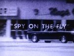 Watch Spy on the Fly (Short 1967) Movie2k