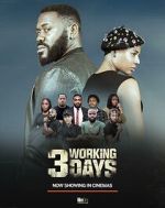 Watch 3 Working Days Movie2k